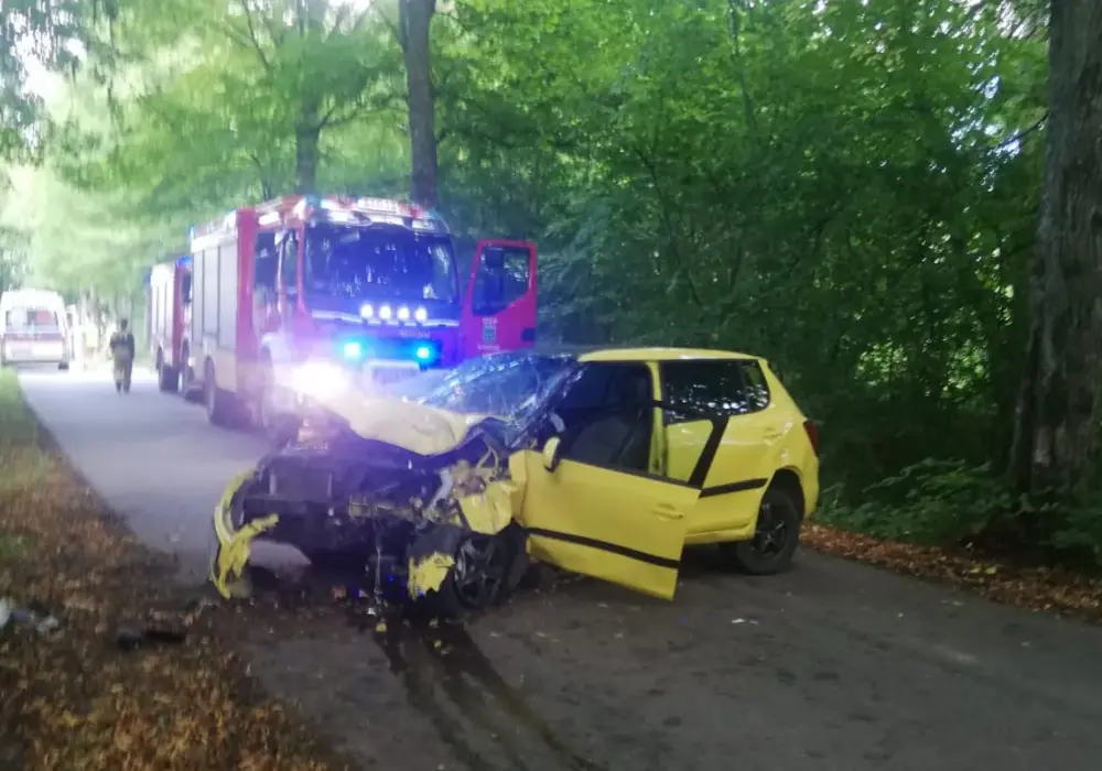 Jak sprawdzić promile bez alkomatu i uniknąć niebezpieczeństwa na drodze