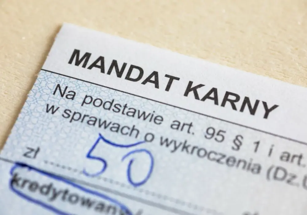 Gdzie idą pieniądze z mandatów? Zaskakujące przeznaczenie funduszy